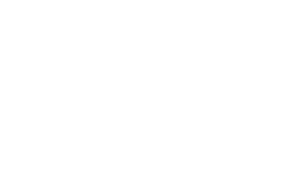 Proner & Proner logo blanco